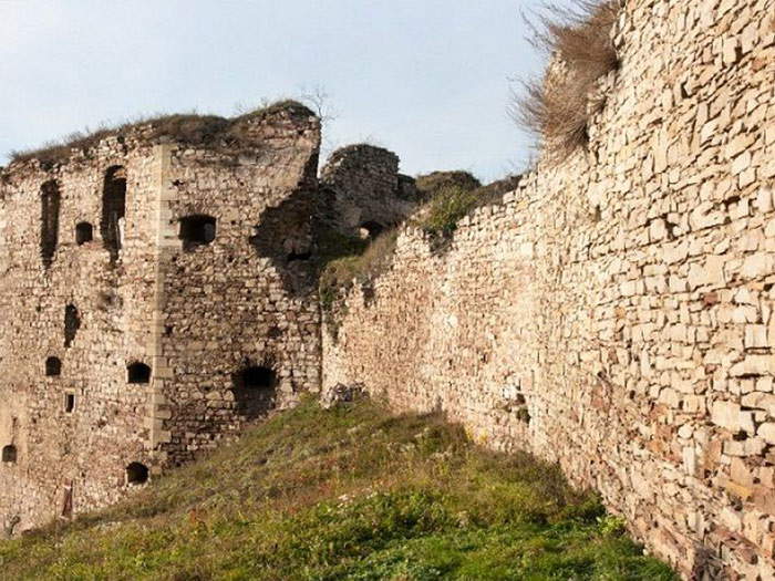 Язловецький замок