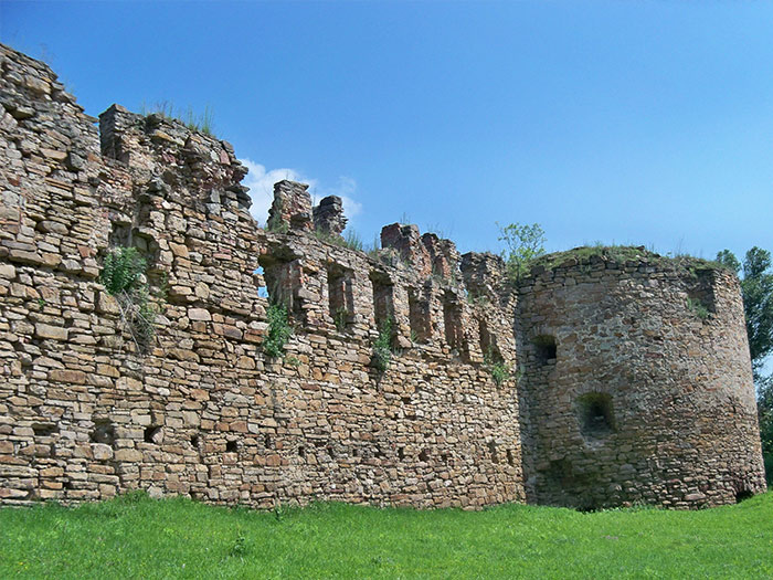Микулинецький замок